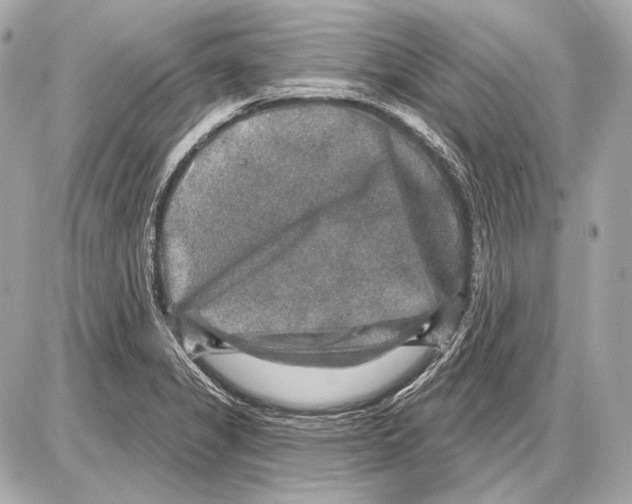 X0000085821325200704091622