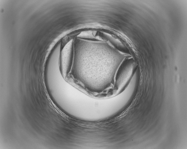 X0000085821326200704091622