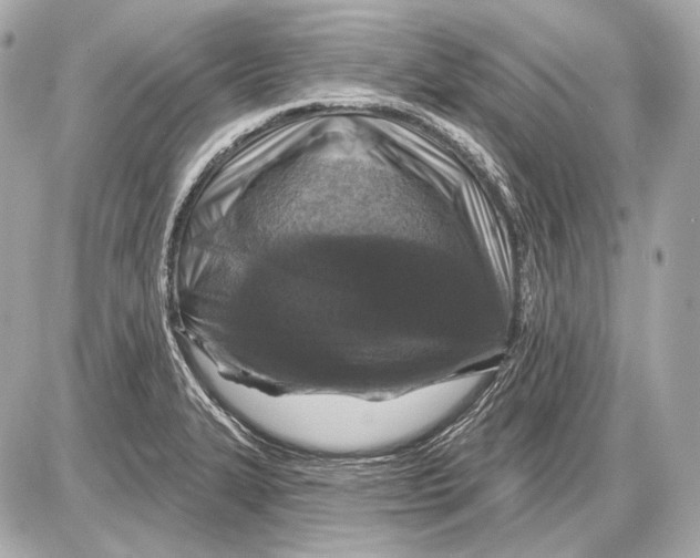 X0000085821327200704091622