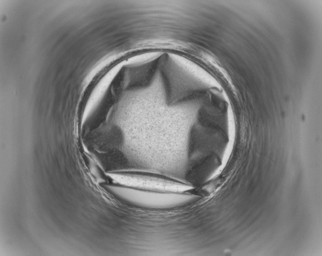 X0000085821328200704091622