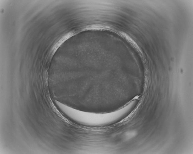 X0000085821329200704091622