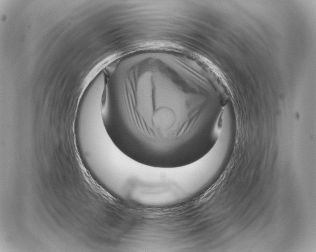 X0000085821330200704091622