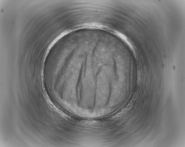 X0000085821331200704091622