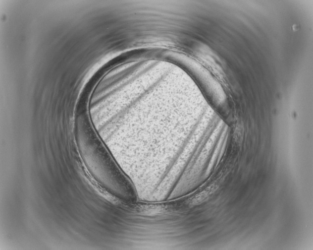 X0000085821332200704091622