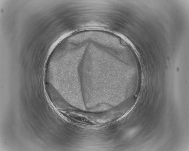 X0000085821333200704091622