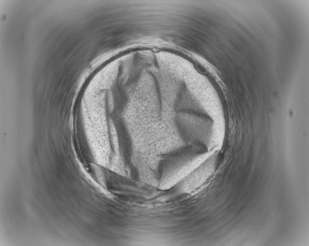 X0000085821335200704091622