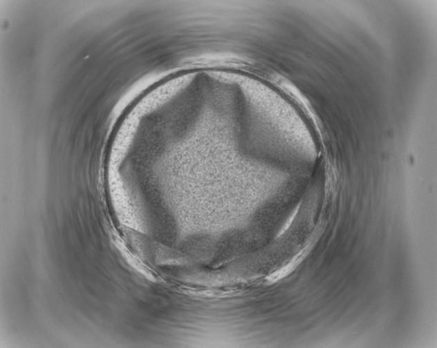 X0000085821336200704091622