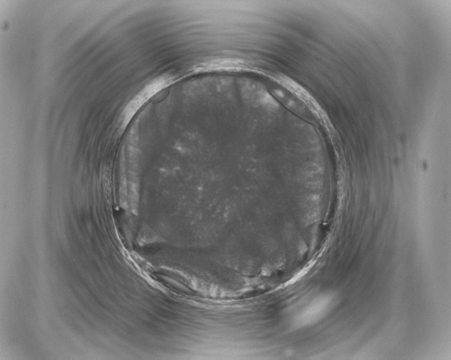 X0000085821337200704091622