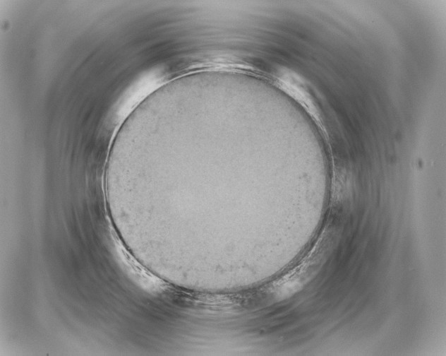 X0000085821338200704091622