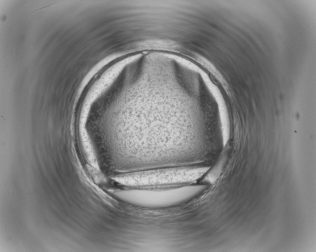 X0000085821339200704091622