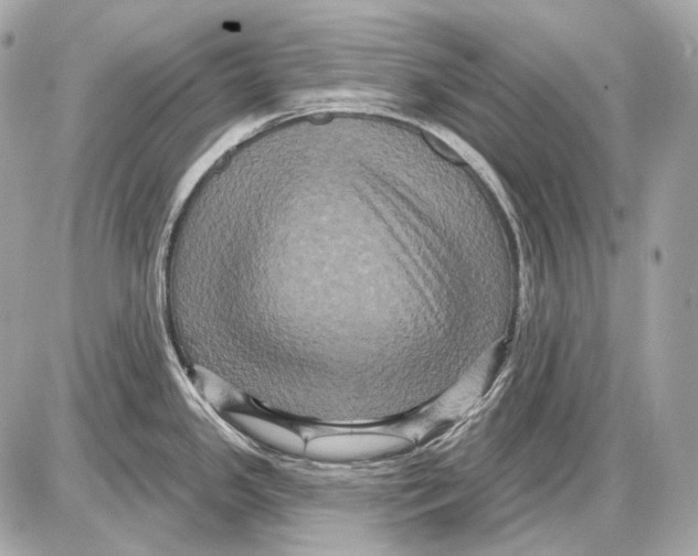 X0000085821341200704091622