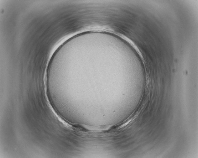 X0000085821343200704091622