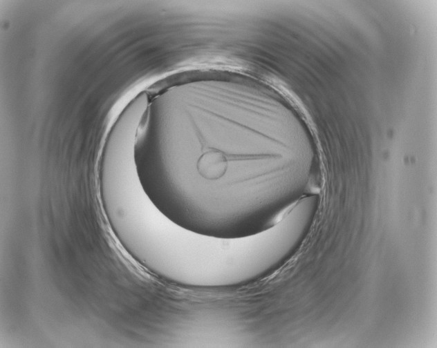 X0000085821344200704091622