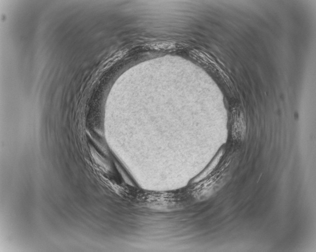 X0000085821345200704091622