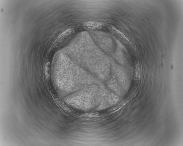 X0000085821346200704091622