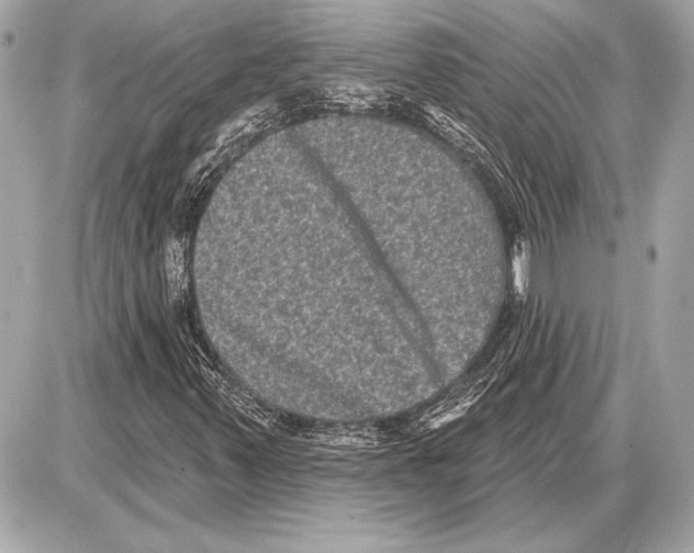 X0000085821347200704091622