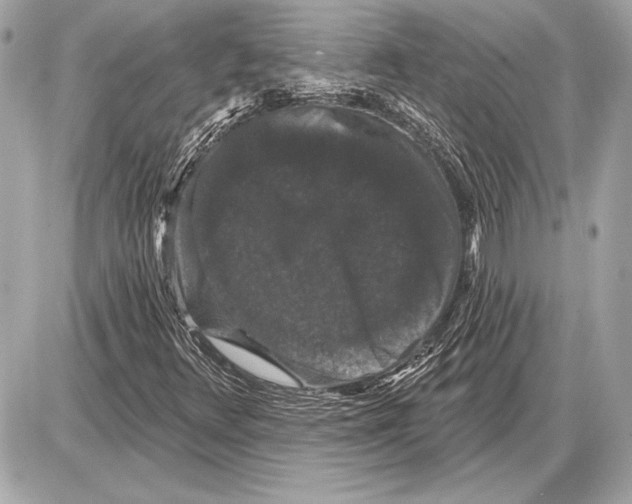 X0000085821348200704091622