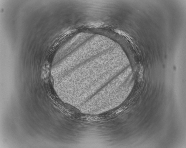 X0000085821349200704091622