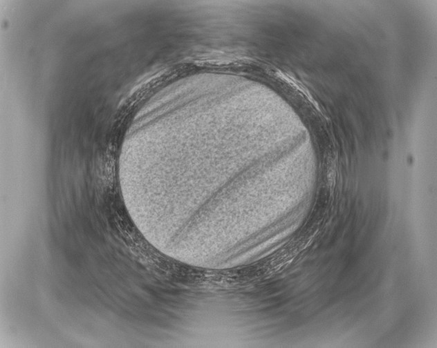 X0000085821350200704091622