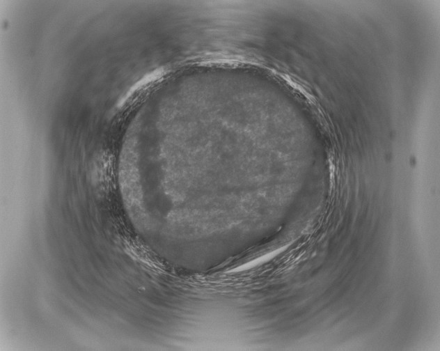 X0000085821351200704091622