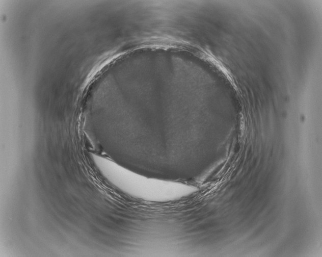 X0000085821352200704091621