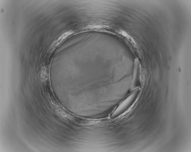 X0000085821353200704091621