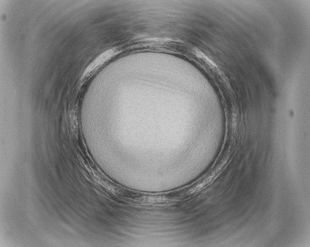 X0000085821354200704091621