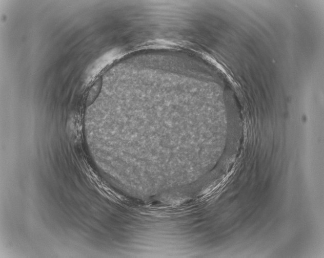 X0000085821355200704091621