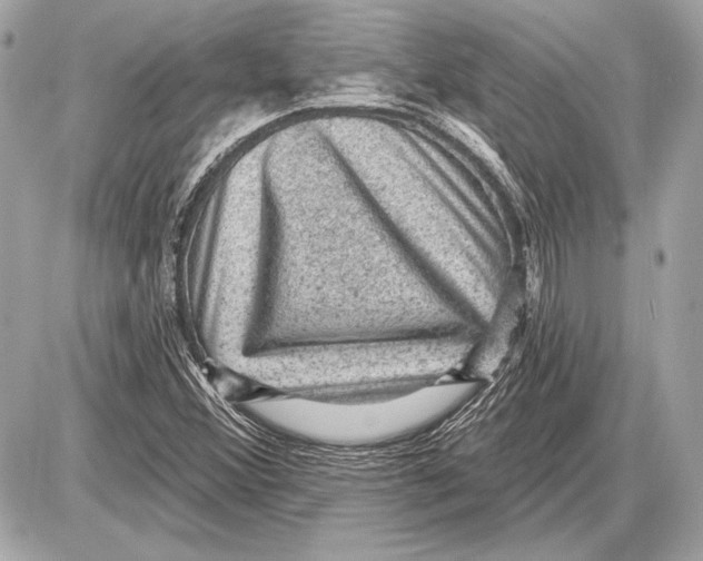 X0000085821356200704091621