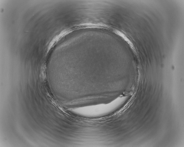 X0000085821357200704091621