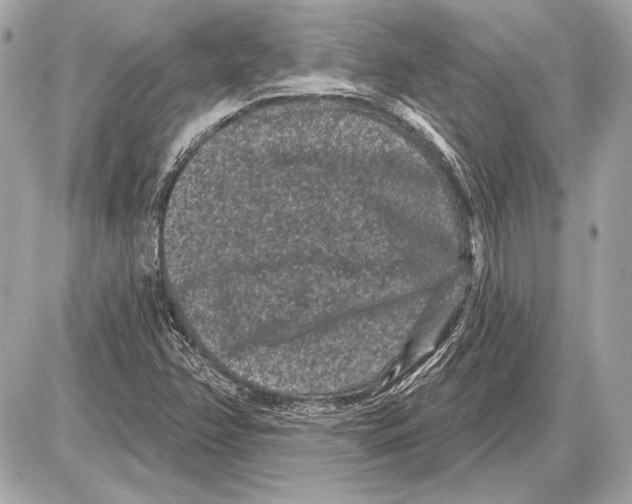 X0000085821358200704091621