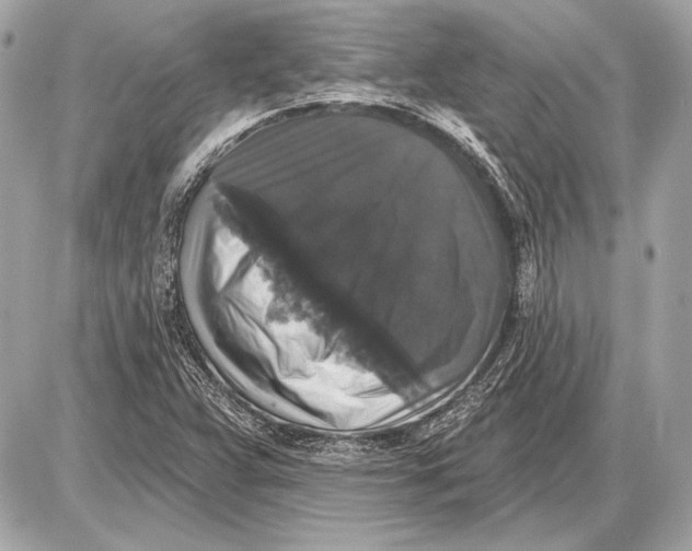 X0000085821359200704091621