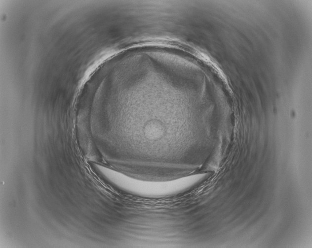 X0000085821360200704091621