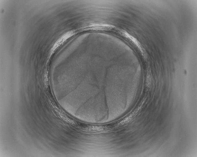 X0000085821362200704091621