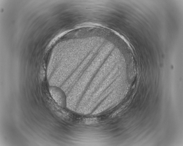 X0000085821363200704091621