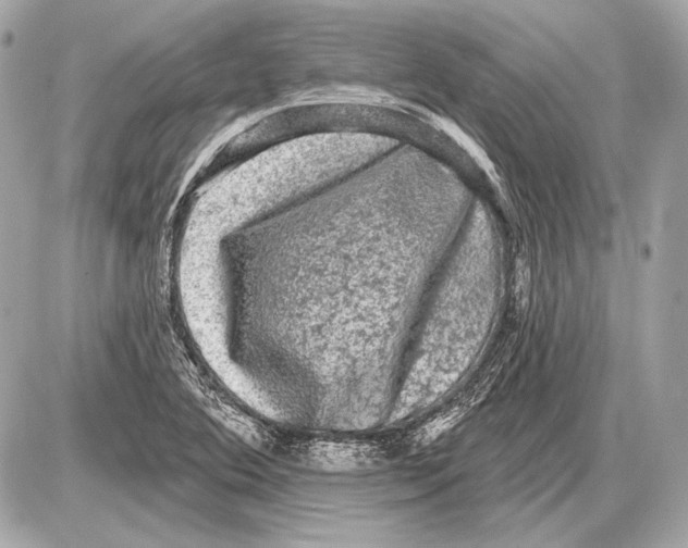 X0000085821364200704091621