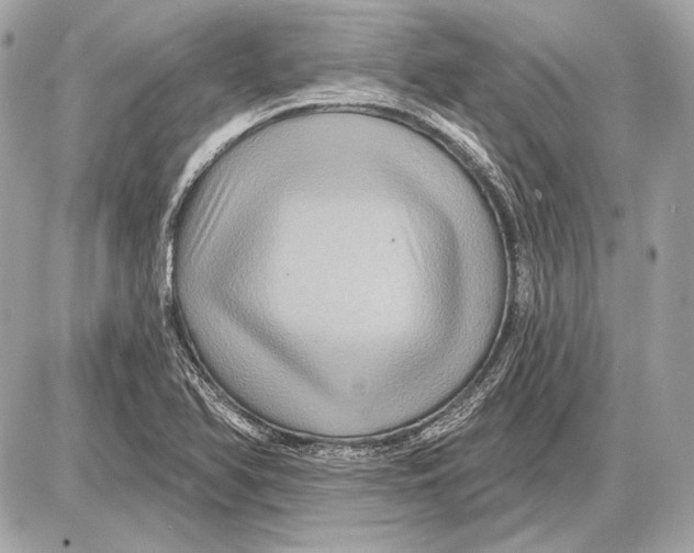 X0000085821366200704091621