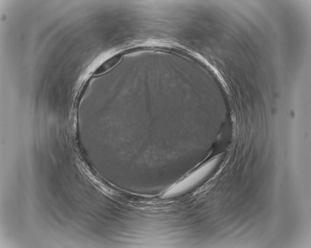 X0000085821367200704091621