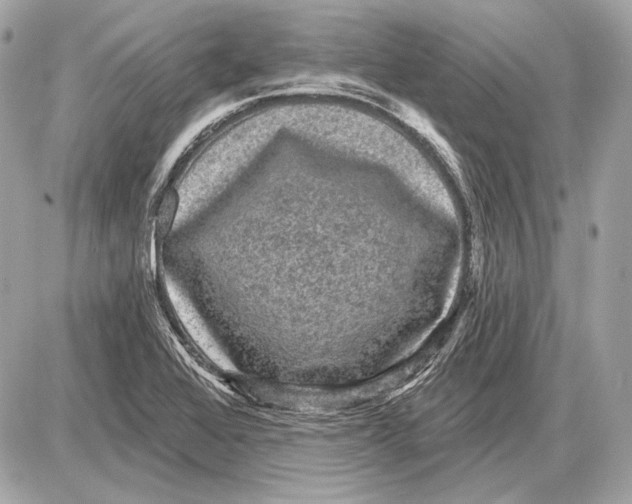 X0000085821368200704091621