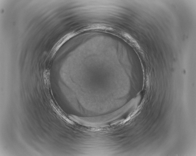 X0000085821369200704091621