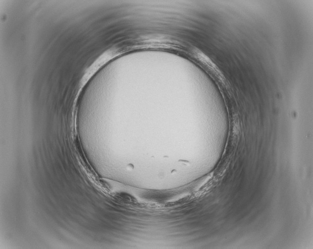 X0000085821370200704091621