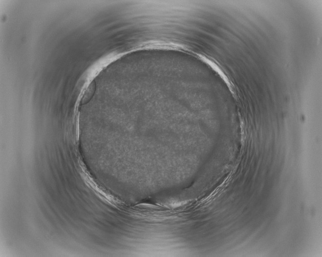 X0000085821371200704091621