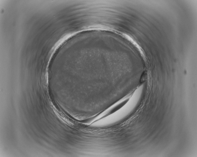 X0000085821372200704091621