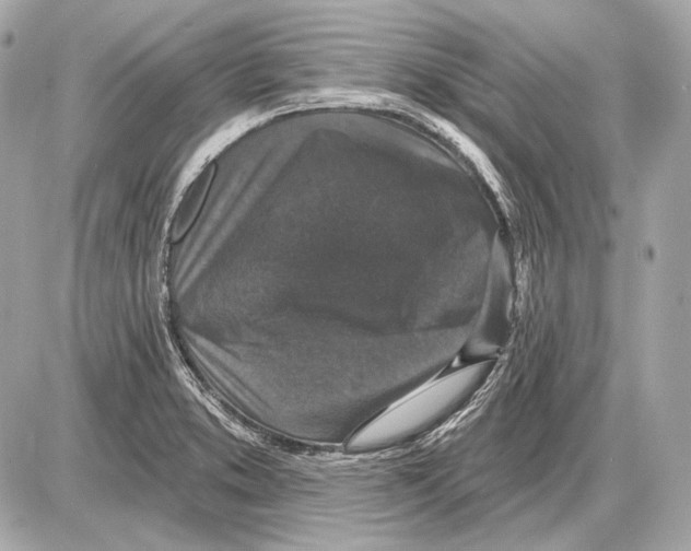 X0000085821373200704091621