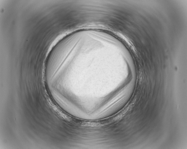 X0000085821374200704091621