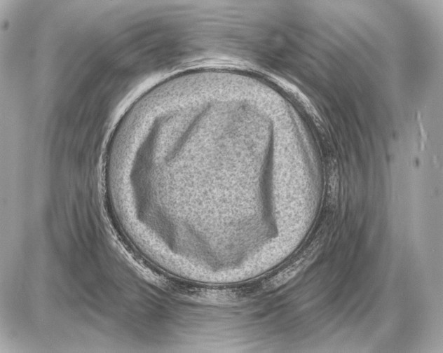 X0000085821375200704091621