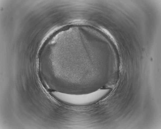 X0000085821376200704091621