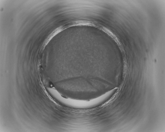 X0000085821377200704091621