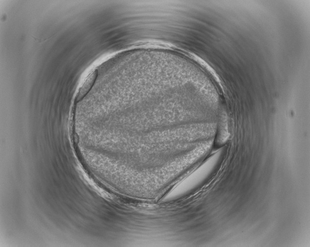 X0000085821379200704091621