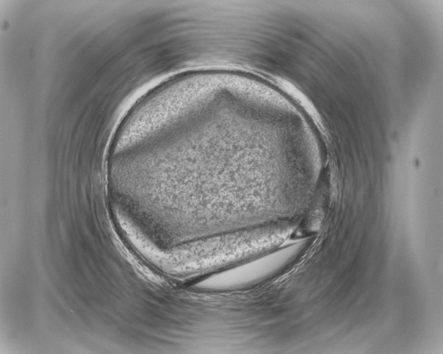 X0000085821380200704091621